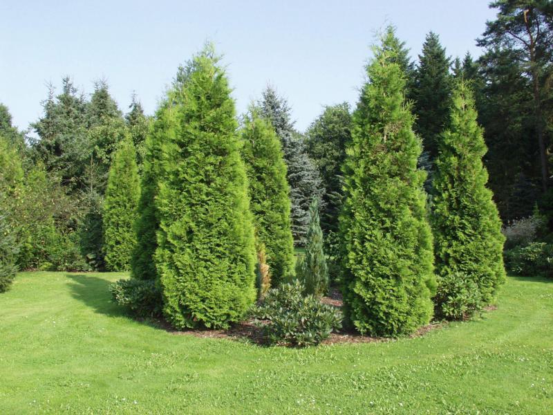 Ferienpark Leitzingen Зольтау Экстерьер фото