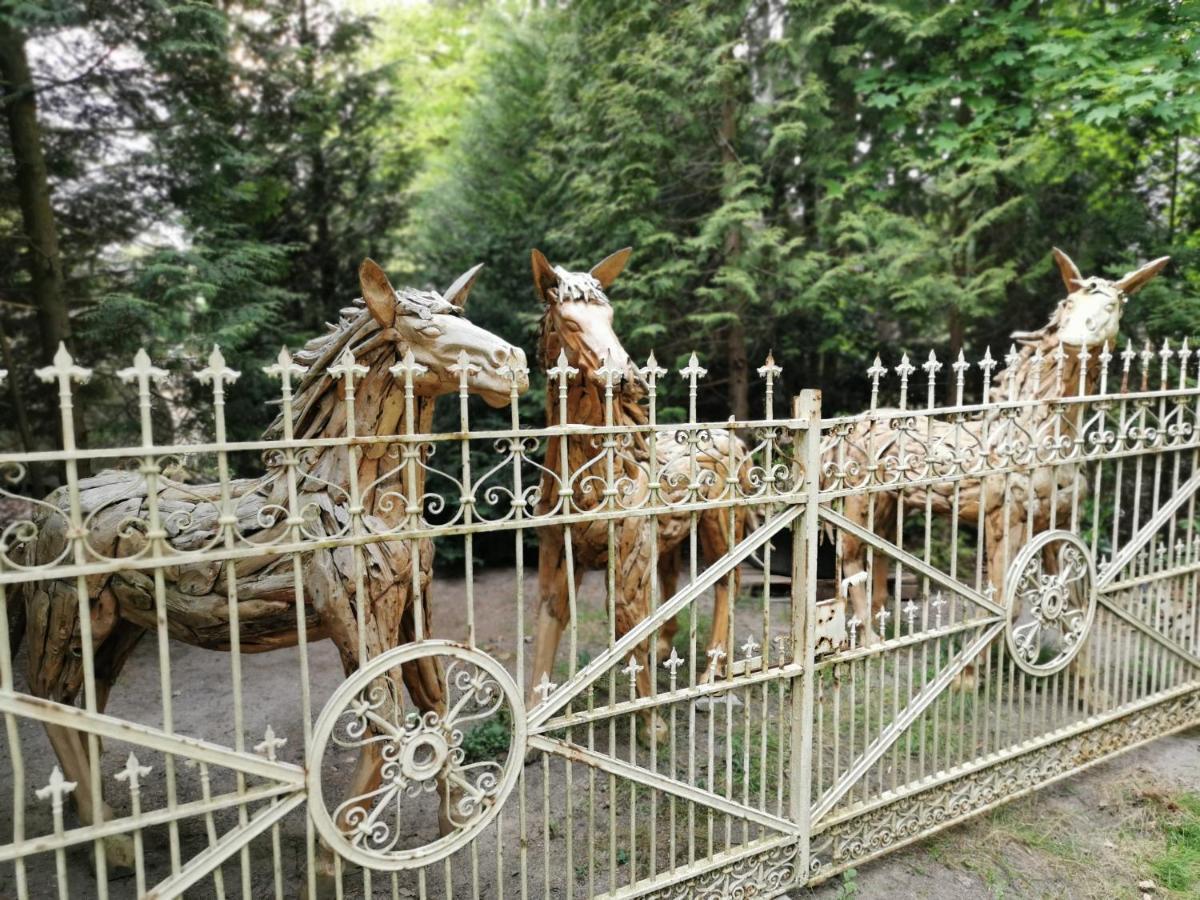 Ferienpark Leitzingen Зольтау Экстерьер фото